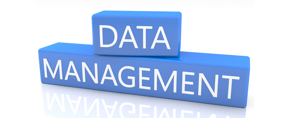 Data Management : les données au service des métiers